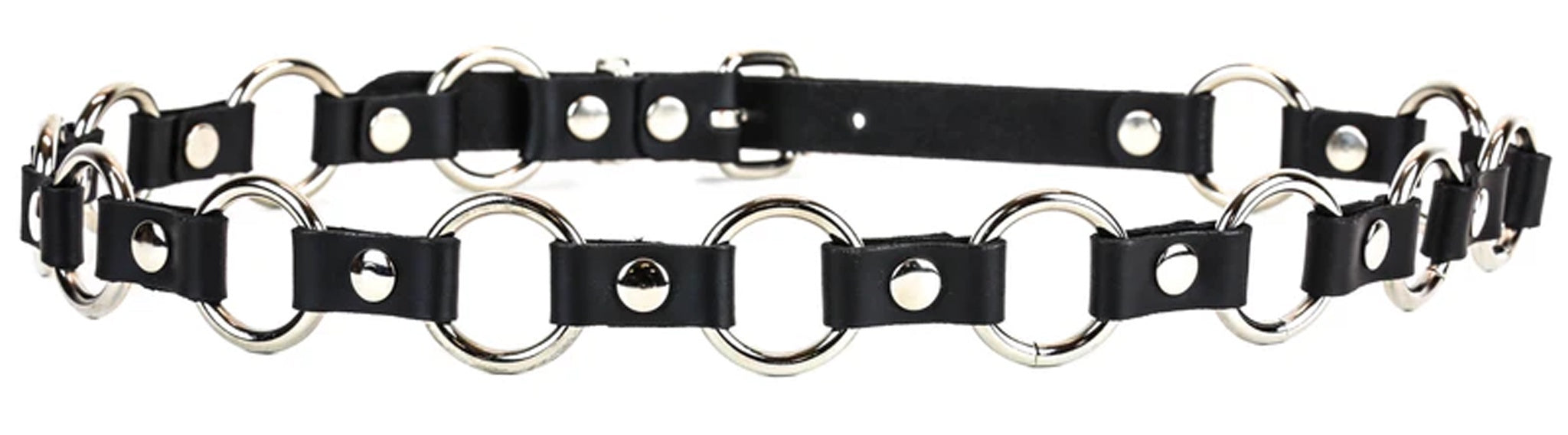O Ring Belt 1 1/4"
