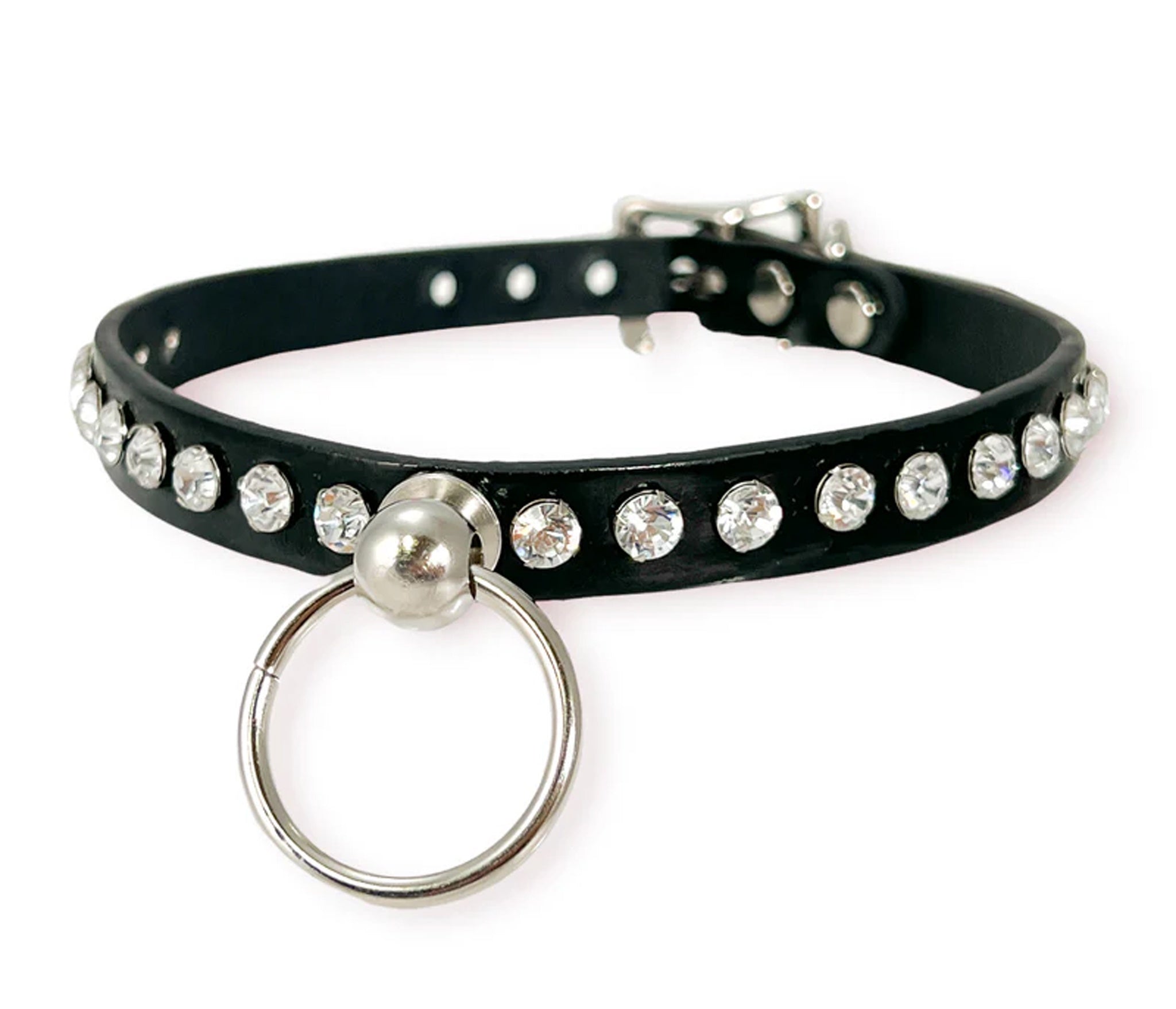 O Ring Kitten Collar