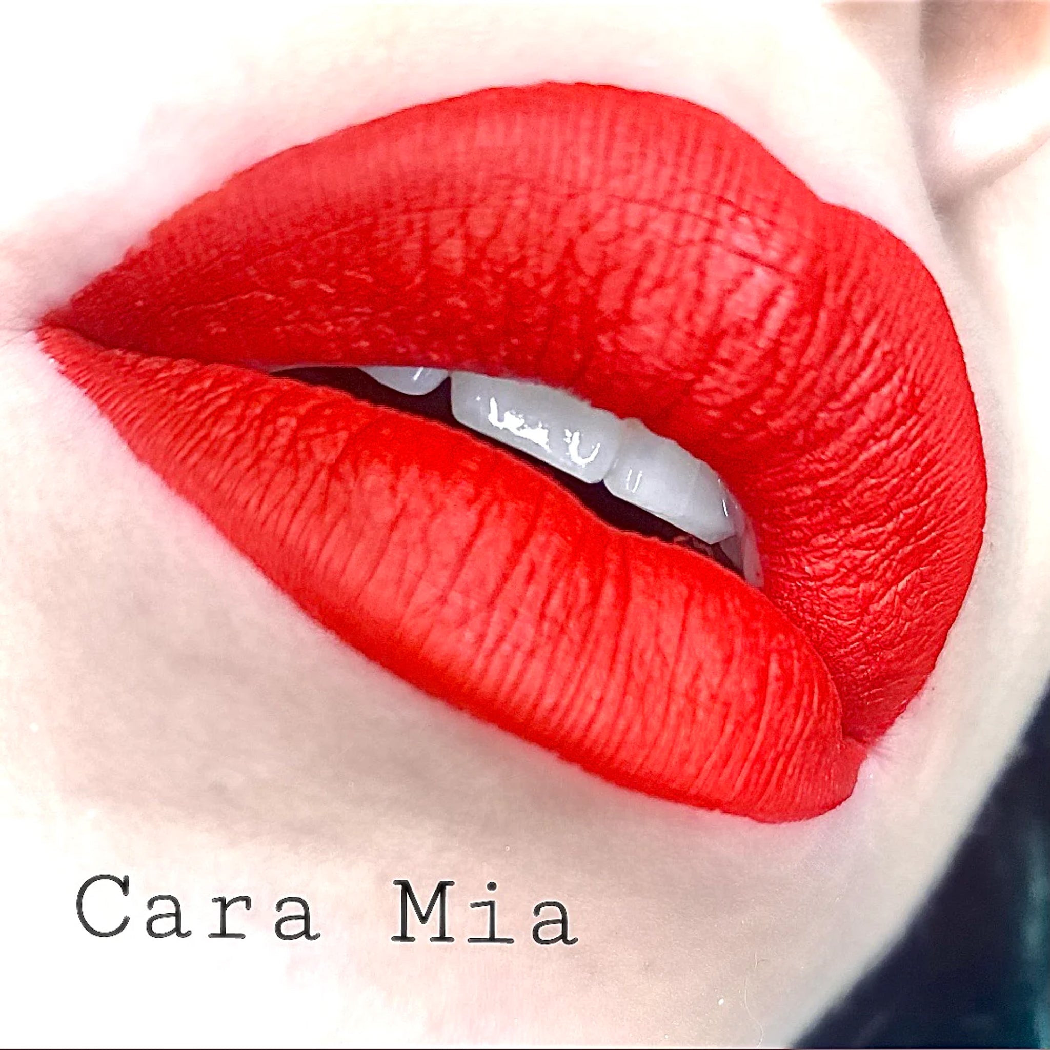 Imperishable Liquid Lipsticks Cara Mia $16