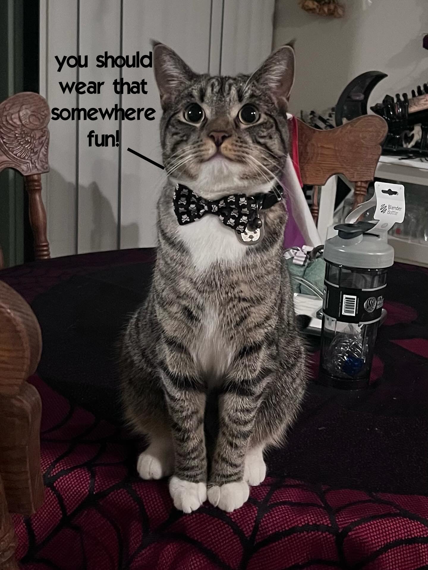 French Quarter Shirt