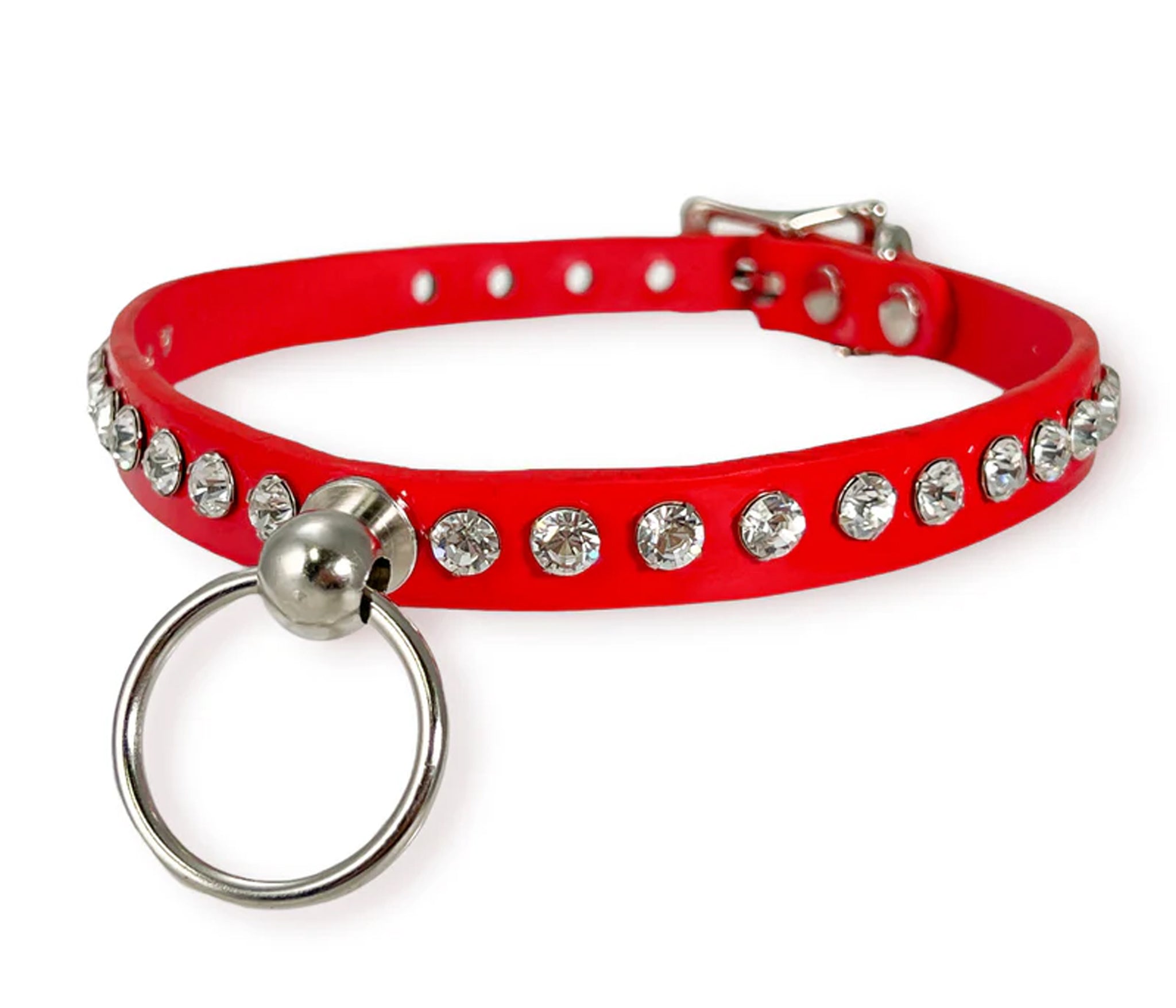 O Ring Kitten Collar