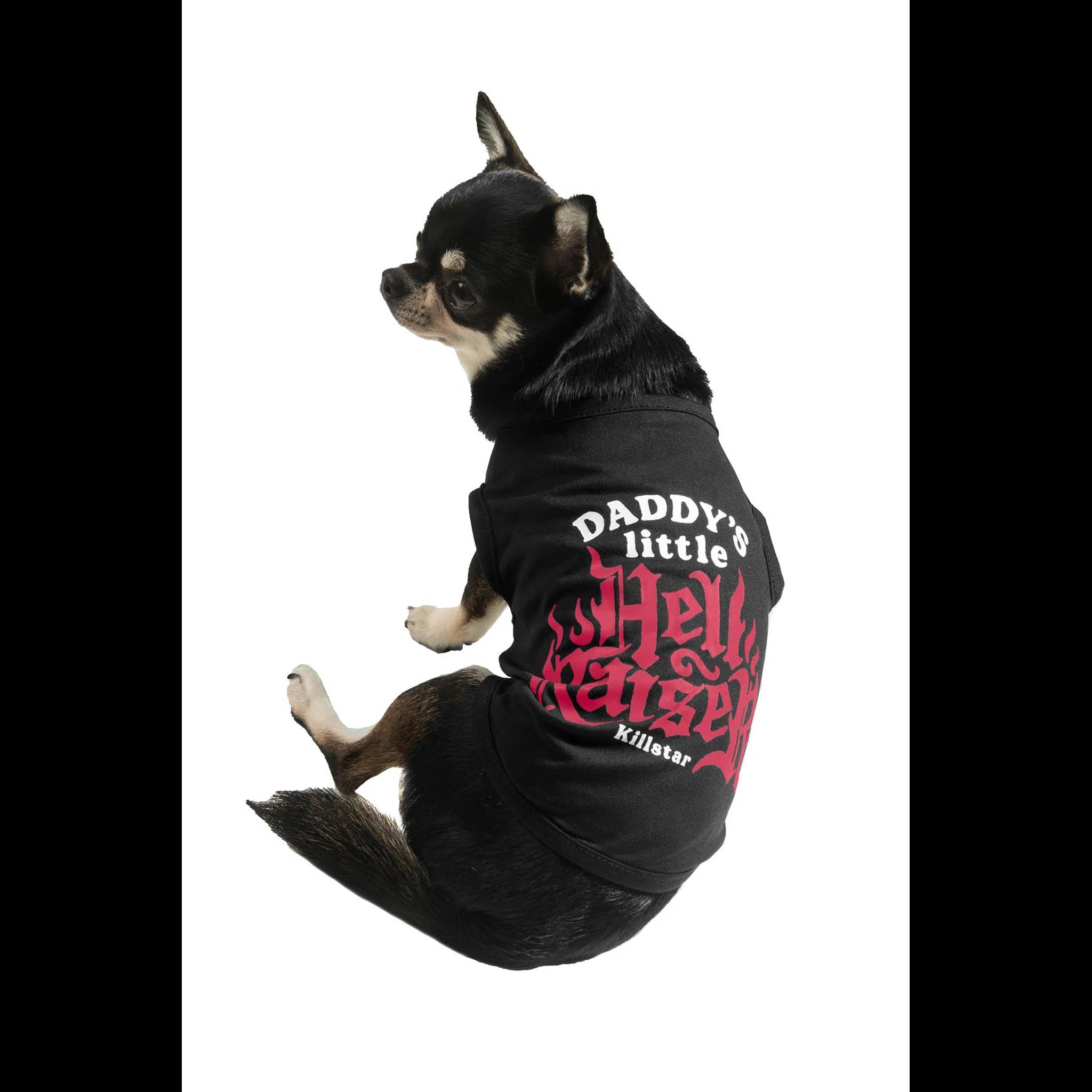 Daddy's  Hellraiser  pet dog vest