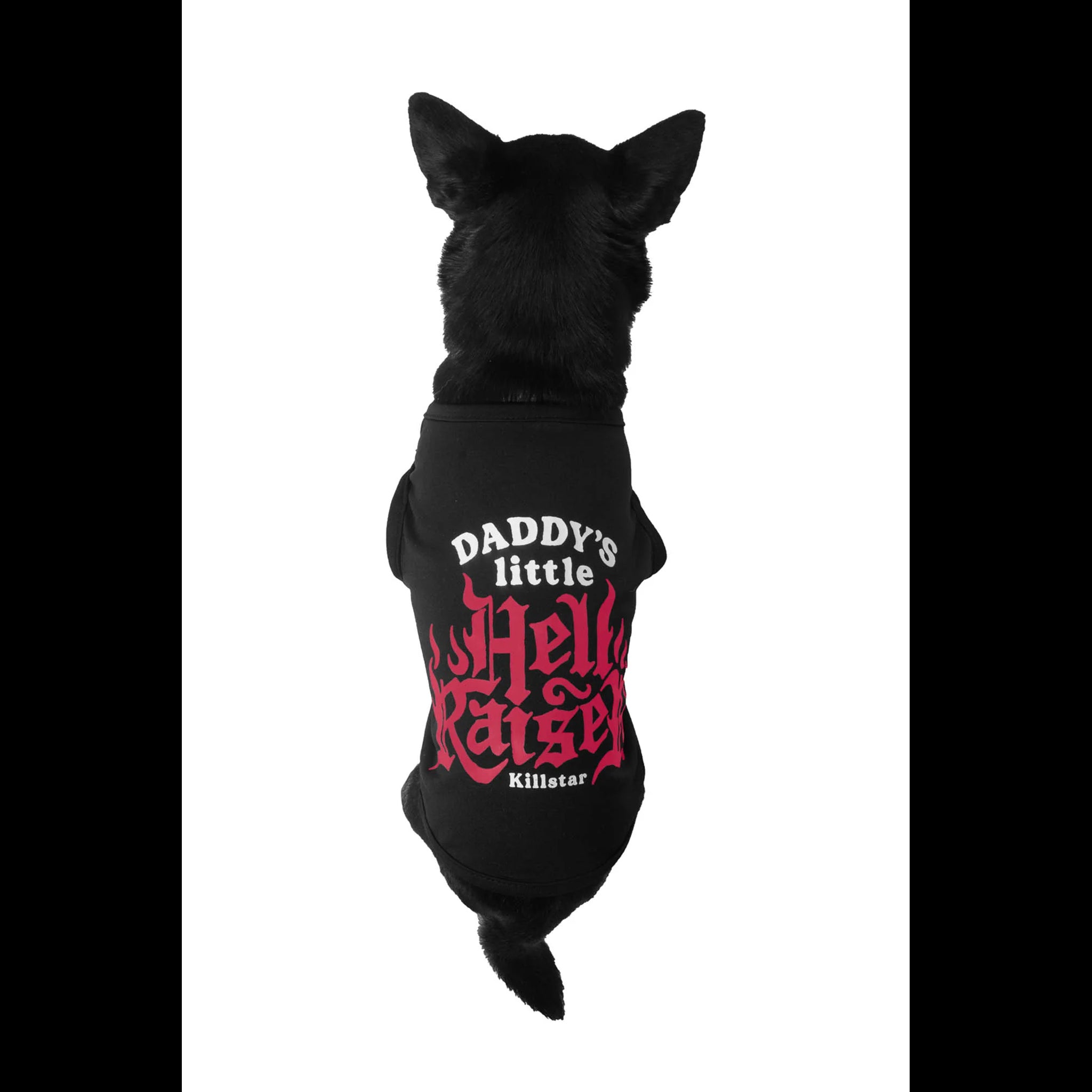 Daddy's  Hellraiser  pet dog vest