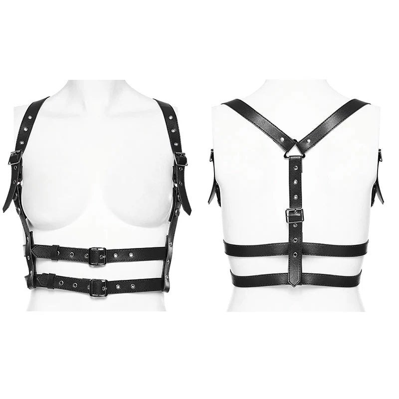 Classic 2 Buckle Harness
