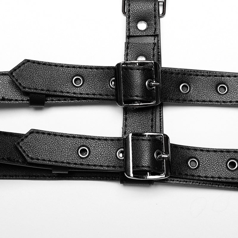 Classic 2 Buckle Harness