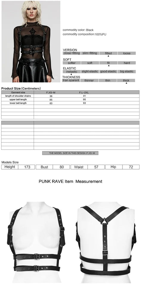 Classic 2 Buckle Harness