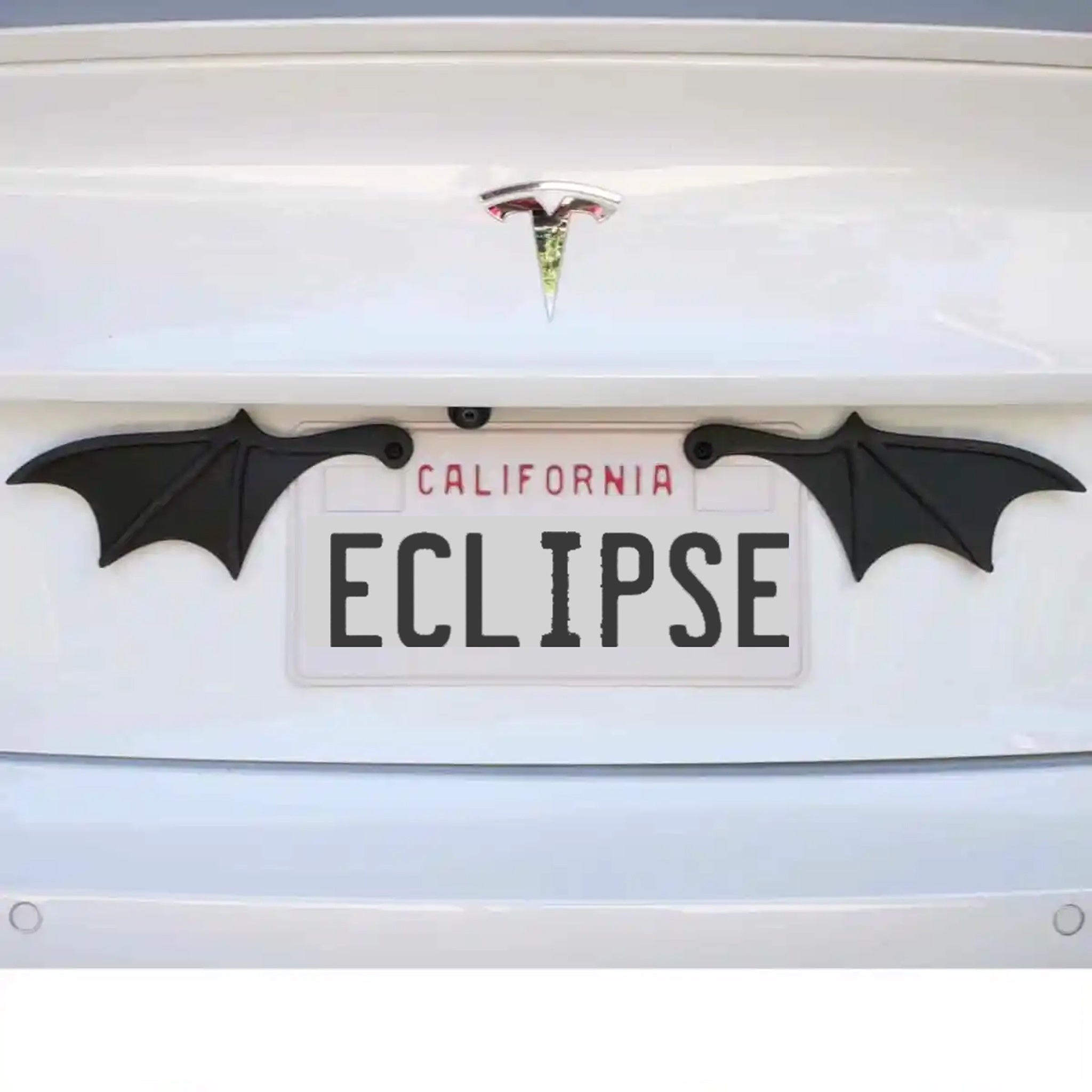 Batwing License Plate