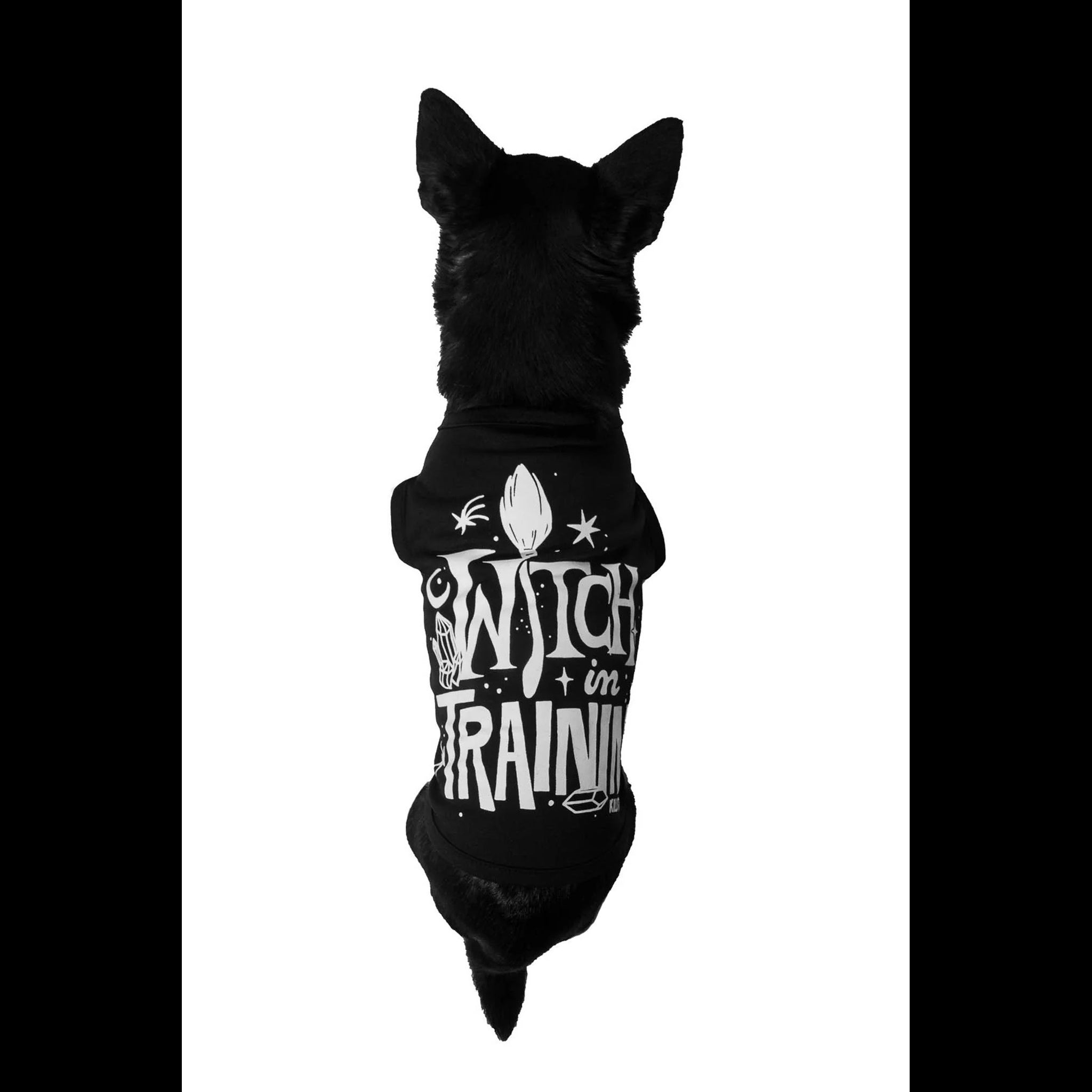 Witch in Training Dog Pet Vest